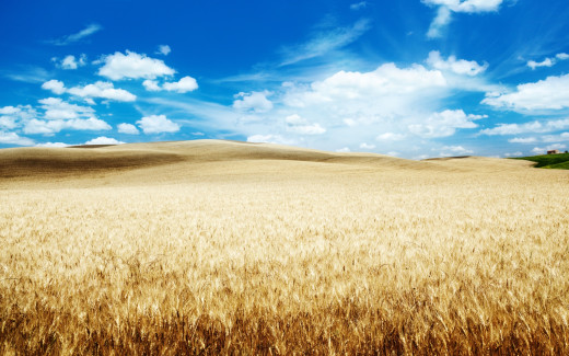 1268401 (a): :2560x1600
